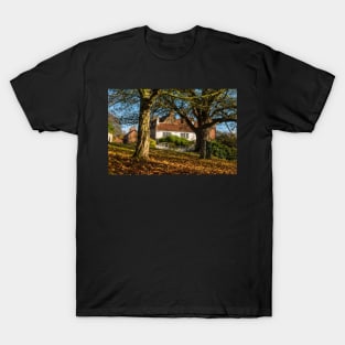 Gringley on the Hill T-Shirt